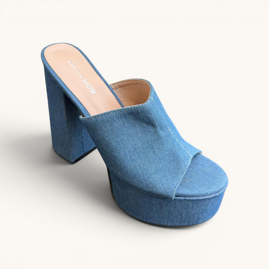 Zapato Tacon Elegante